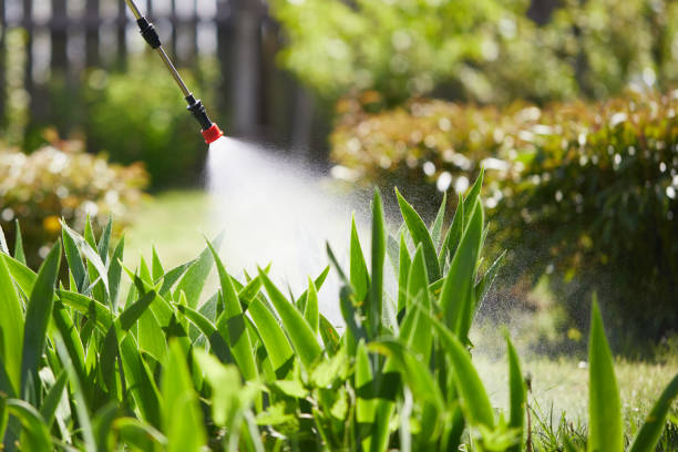 Tamper-Resistant Bait Stations for Rodents in Weedpatch