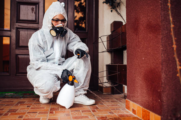Attic and Crawl Space Rodent Treatment in Weedpatch